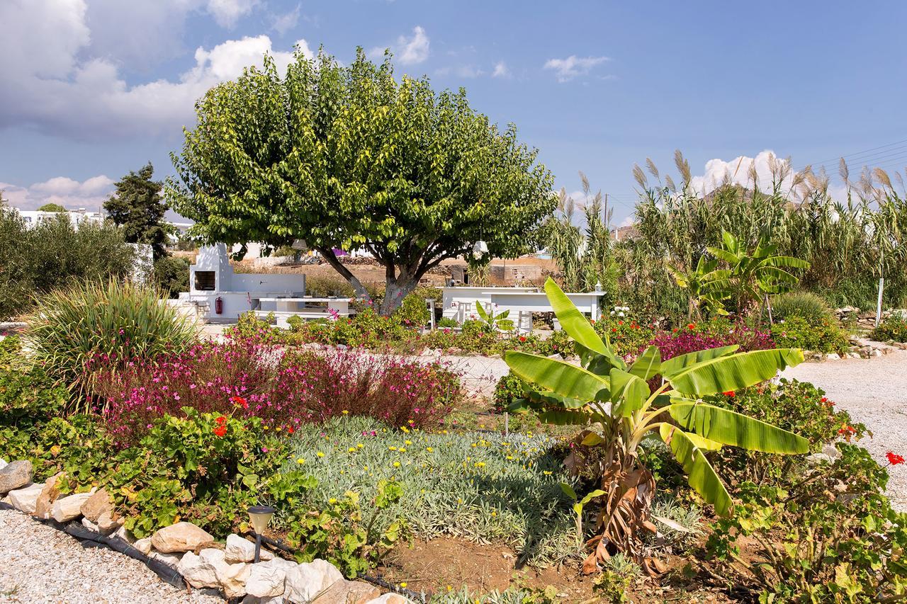 Villa San Dimitrio House On The Beach Logarász Kültér fotó